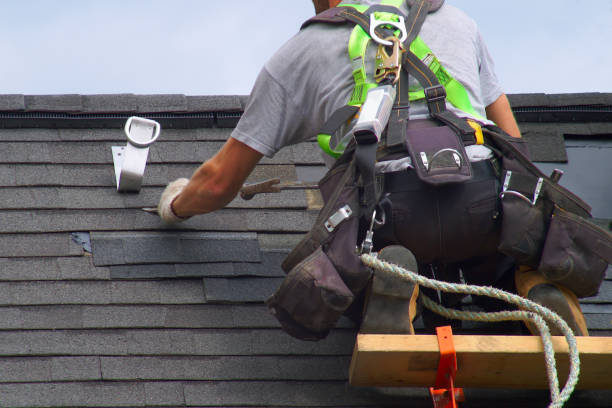 Best Roof Moss and Algae Removal  in Noroton, CT